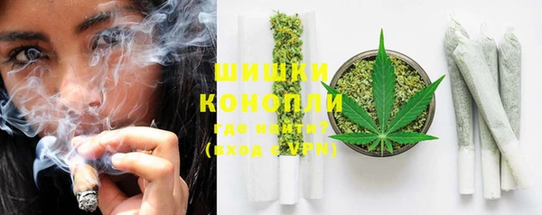 МДПВ Елизово