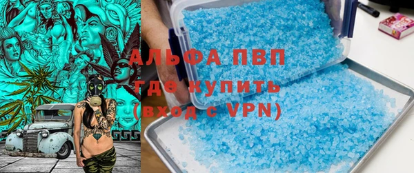 мдпв Ельня