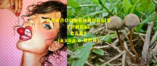 МДПВ Елизово