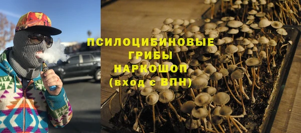 МДПВ Елизово
