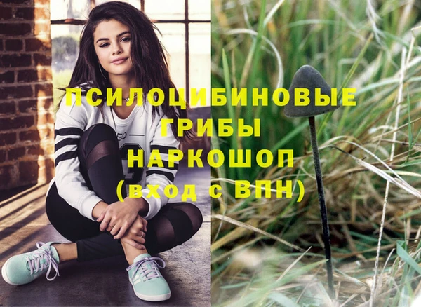 хмурый Заводоуковск