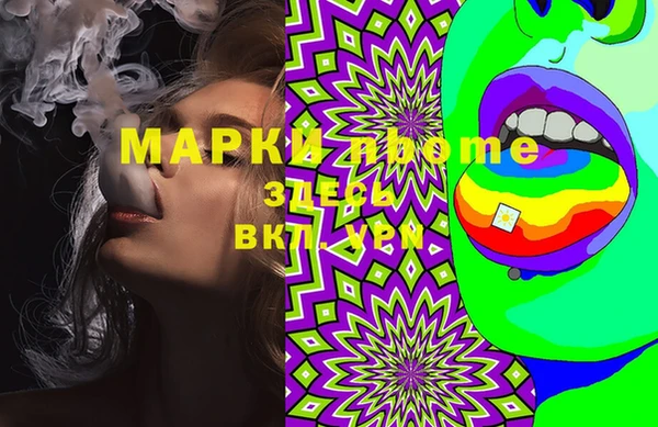 мдпв Ельня