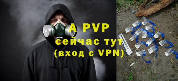 мдпв Ельня