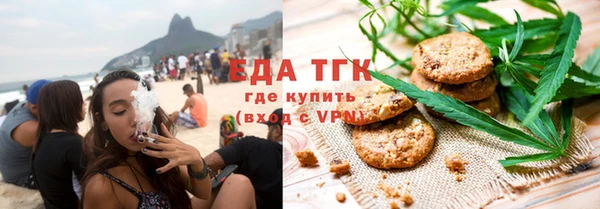 мдпв Ельня